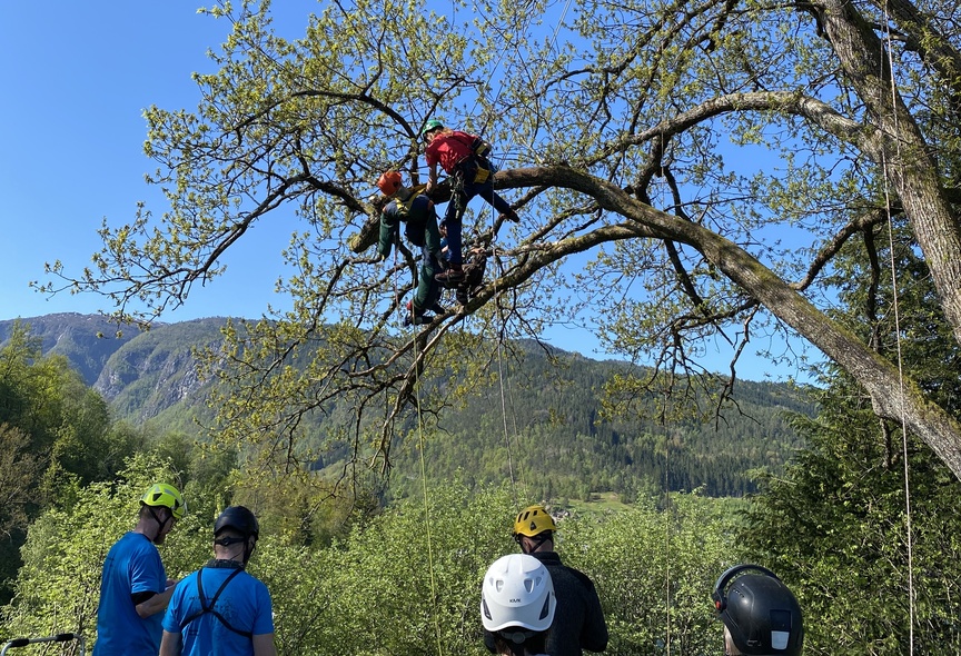 Kurs i Førstehjelp og redning for arborister