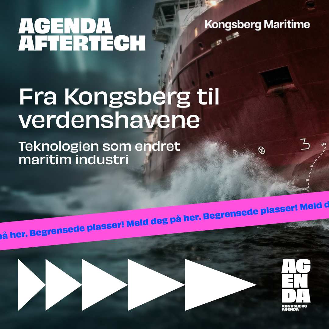 Du møter i panelet: