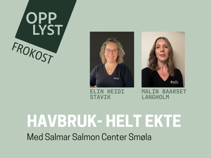 Opplyst frokost: Havbruk - Helt ekte.