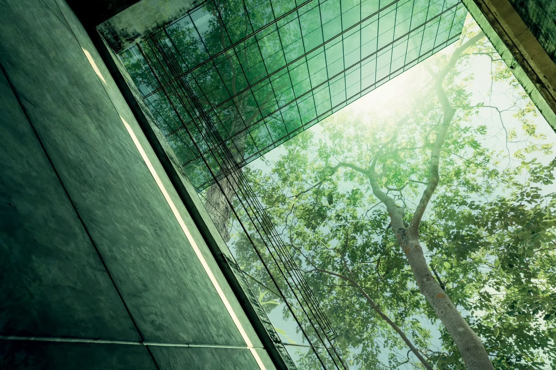 Post regulation: What comes next? How to capture the commercial potential of sustainability