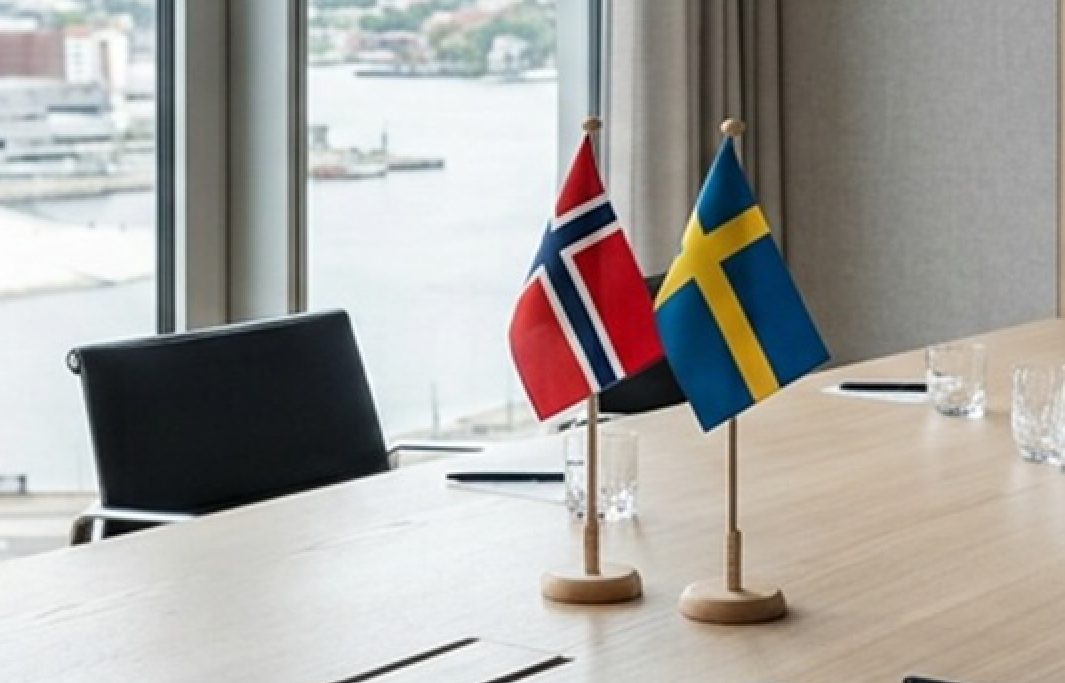 Bør Norge følge Sverige og innføre en ny selskapsform for aktive eierfond?