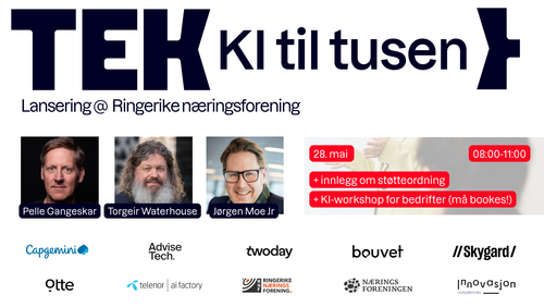 Lansering av KI til tusen med Ringerike Næringsforening