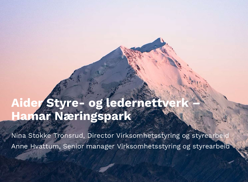 Styre- og ledernettverk